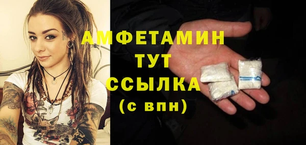 твердый Володарск