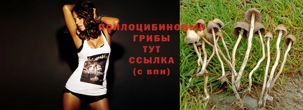 твердый Володарск